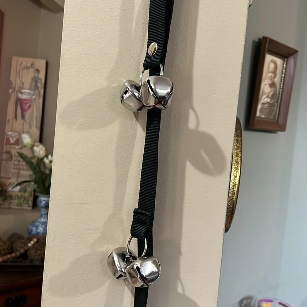 Dog ring trainer